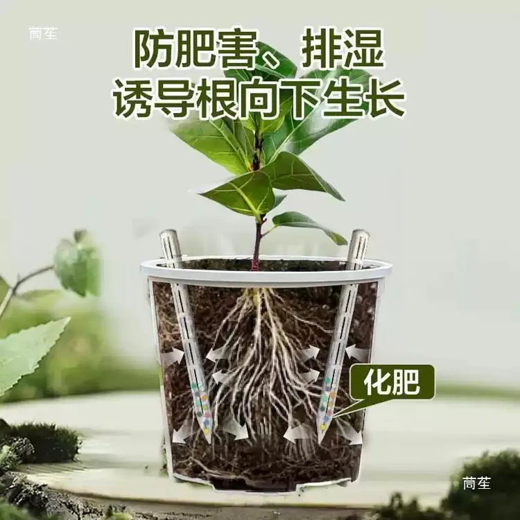 盆土通气管干湿循环通风管控根透气防闷根烂根爆根生根土壤通风