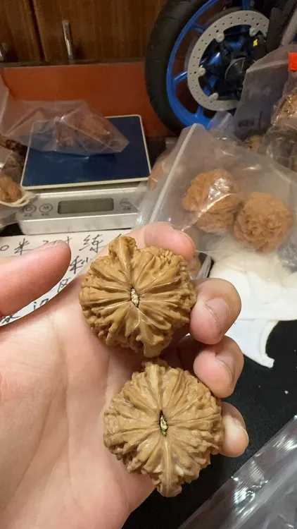 磨盘核桃3.8尺寸