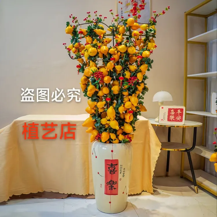 喜庆五代同堂黄花超大盆栽好室内观赏金黄超高颜值年宵花卉植物