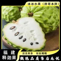 【散装】[Y]福建释迦果 份/三颗 仅限太原晋中吕梁忻州可拍