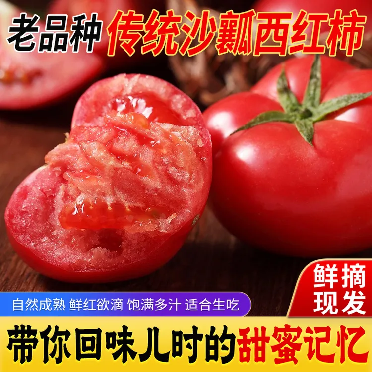 水果口感西红柿新鲜多汁沙瓤营养老品种酸甜童年回忆番茄