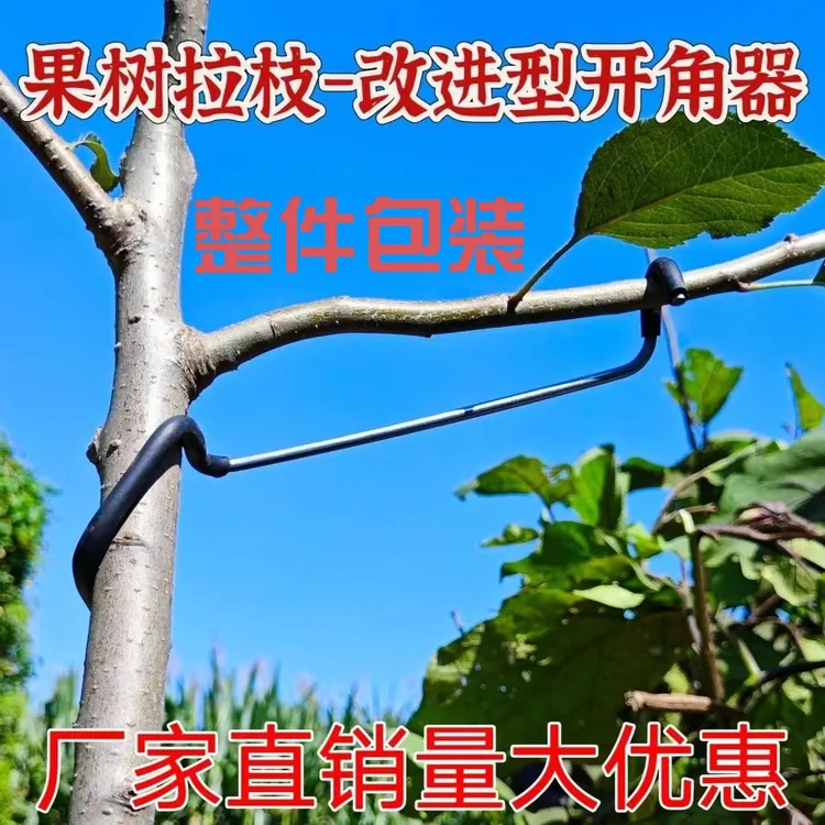 果树拉枝器压枝器开角器神器果园工具果树定型弯枝器镀锌钢丝器