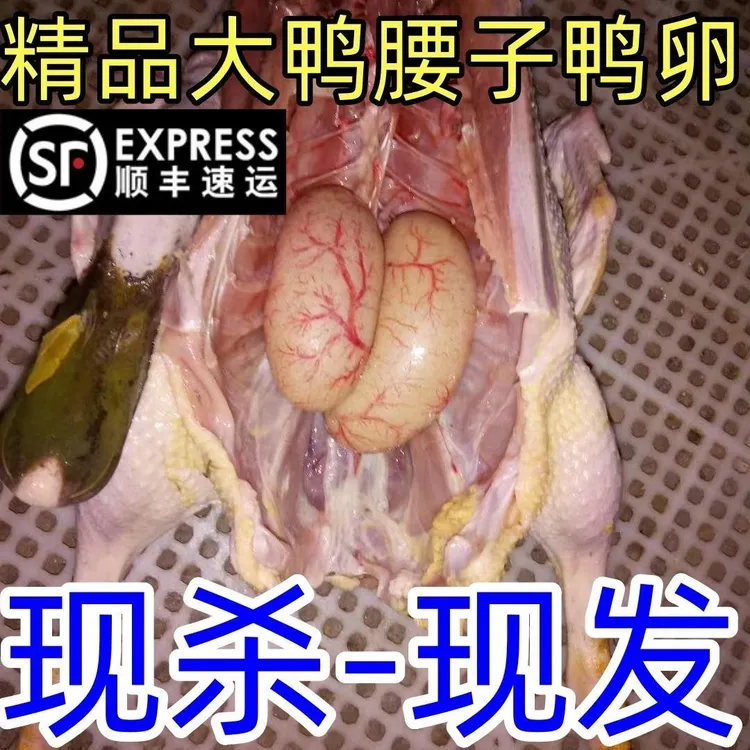 【超大公鸭腰子】新鲜公鸭腰子滋补食材散养冷冻老鸭腰卵子大补商用