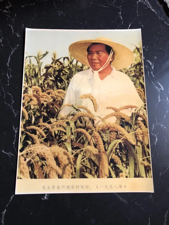 老照片尺寸30✖️40