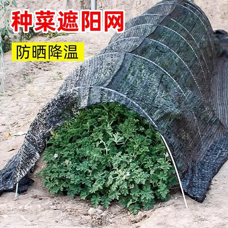 遮阳网种菜用的黑网蔬菜专用防晒网菜地农用植物遮阴网大棚太阳网