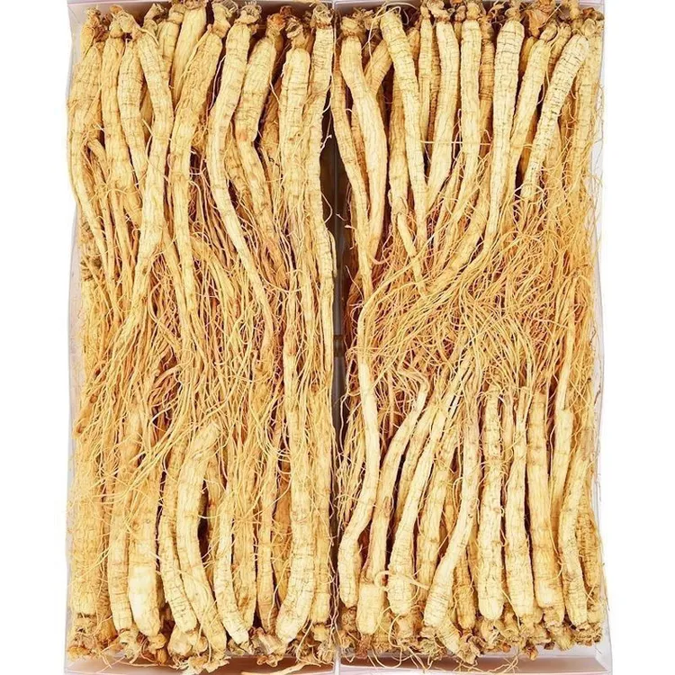 长白山干生晒参可煲汤泡水泡酒滋补佳品山参人参100%纯正人参