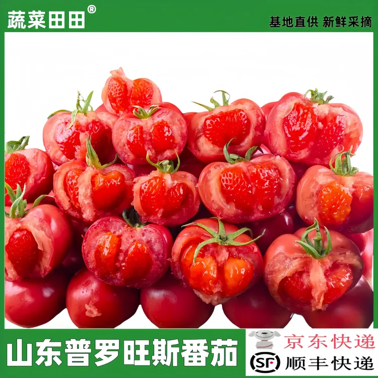 山东普罗旺斯西红柿沙又甜水果番茄4.5斤【京东/顺丰包邮】