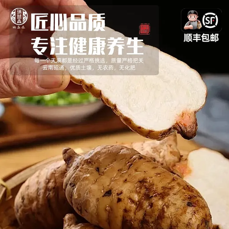 瑞益森2025昭通直发昭通新鲜天麻云南仿野生种植小草坝现挖鲜天麻