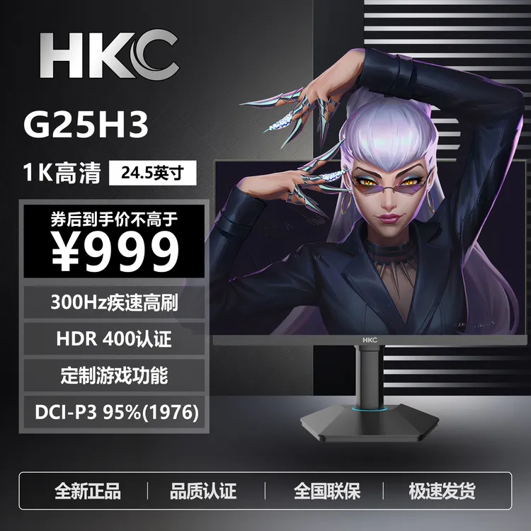 HKC显示器国补24.5英寸1K300Hz高刷护眼低蓝光外接显示屏幕G25H3