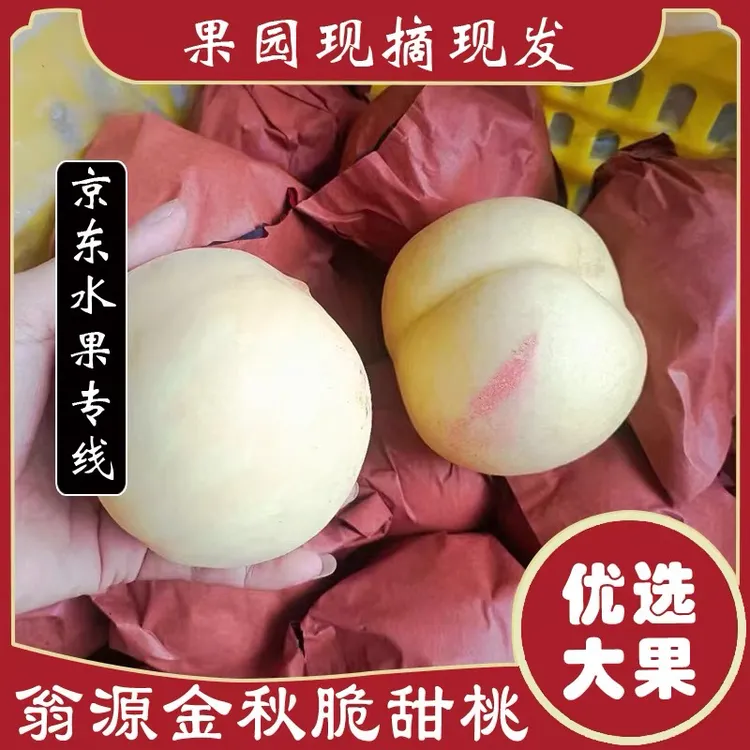 【京东速递】正宗广东韶关翁源国庆蜜桃新鲜现摘当季脆甜水果