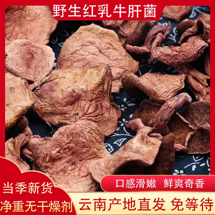 红乳牛肝菌干货云南深山食用菌子农家特产口感爽滑浓郁鲜香250g
