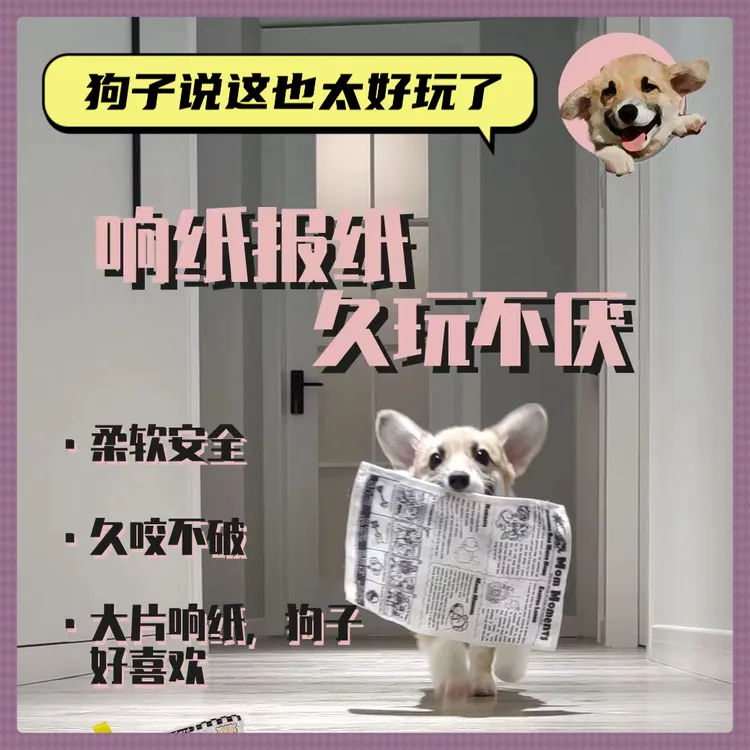 狗狗玩具发声响纸报纸自嗨解闷神器耐咬磨牙柯基比熊幼犬宠物用品