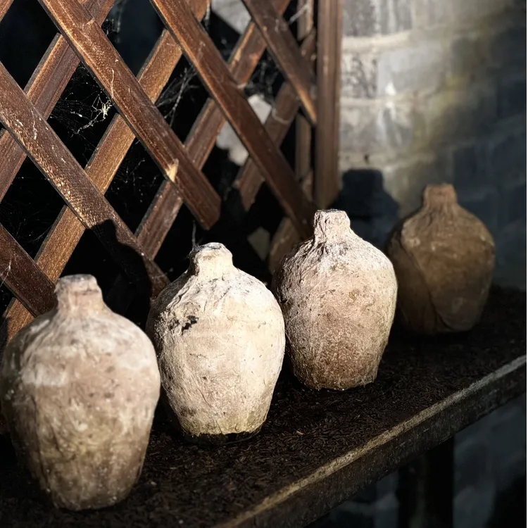 状元才浓香型地下窖藏纯粮酒珍藏版50度500ml