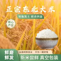 正宗东北大米10斤厂家直销珍珠米新米批发价