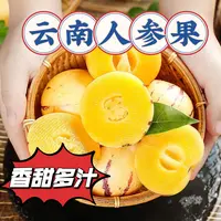 [包邮到家]云南人参果新鲜现摘产地直发