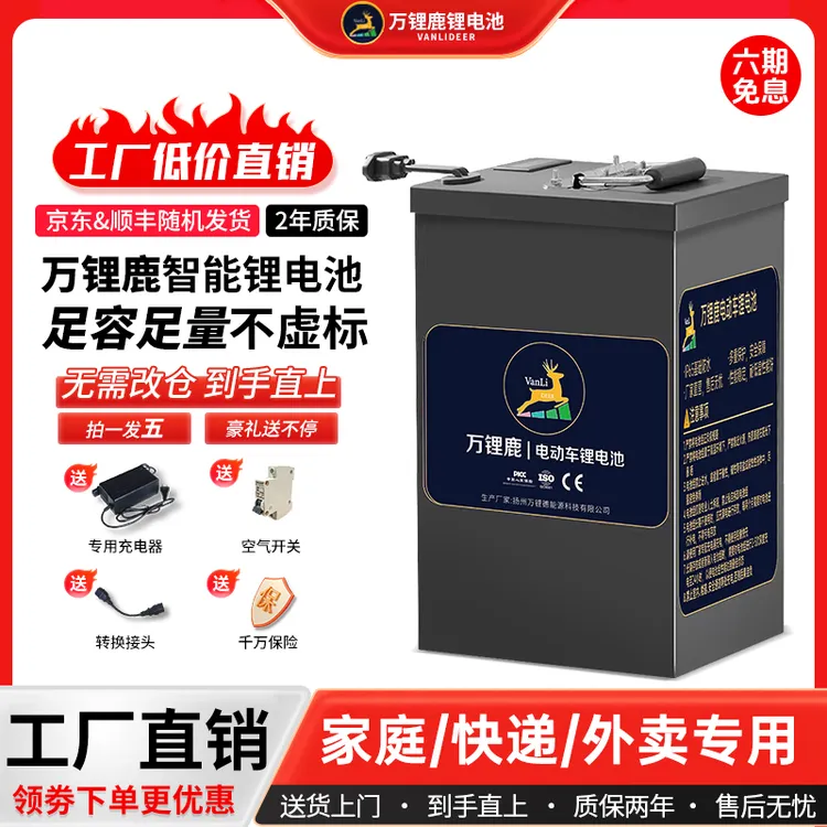 磷酸铁锂电池外卖电动车专用48V60V72V电池锂电池新能源锂电池