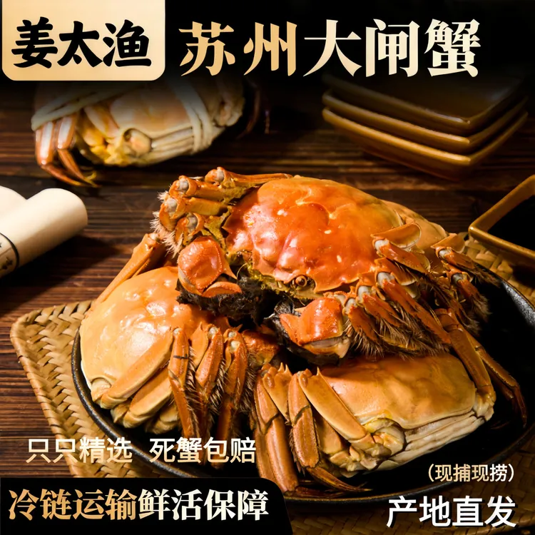 【活蟹】-姜太渔精品大闸蟹礼盒全母蟹4两/共8/10只
