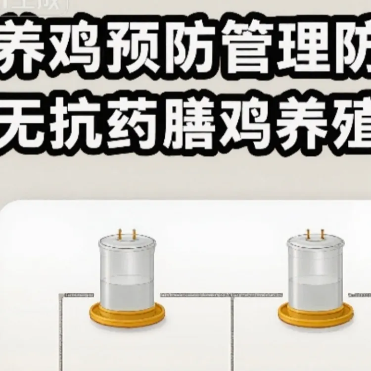 养鸡创业无抗药膳鸡预防管理防治技术实操技术