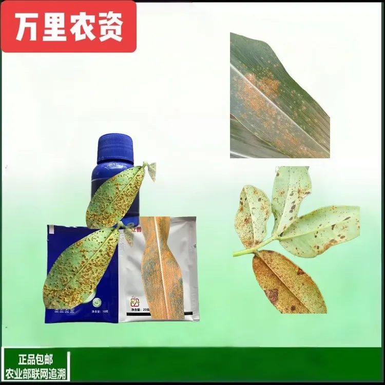 【作物锈点防止方案】玉米花生锈点穗腐等解决方案