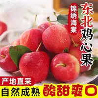 正宗东北鸡心果锦绣海棠酸甜可口新鲜下树应季小苹果现摘现发