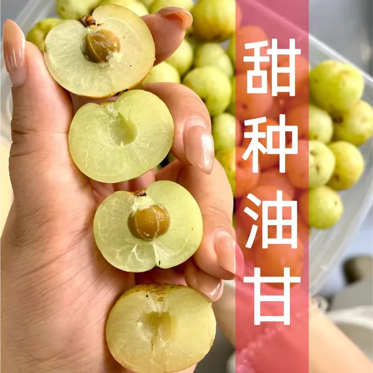 普宁崩坎柿饼甜种油甘果余甘果牛甘子滇橄榄果油柑孕妇新鲜摘水果