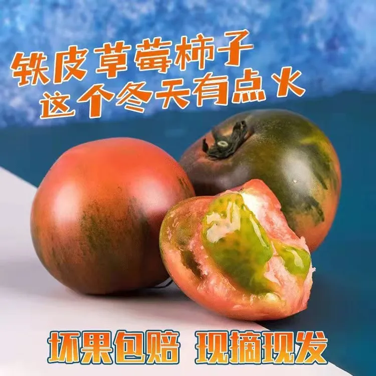 {铭福堂}盘锦碱地柿子铁皮西红柿自然熟草莓番茄铁皮柿子多汁酸甜