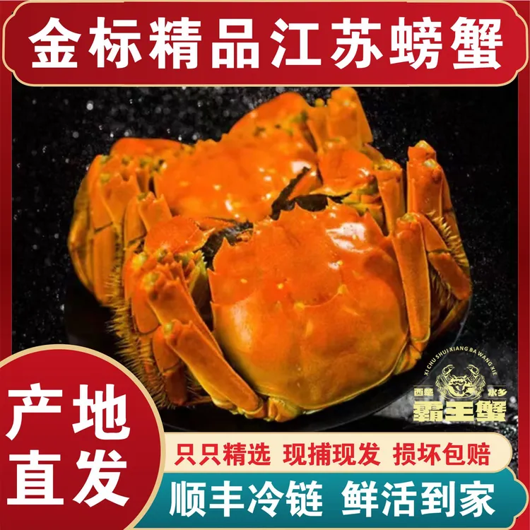 【活蟹】河蟹母蟹⒈.⒎-⒉.⒈两到手8只清蒸/红烧鲜活螃蟹顺丰冷链