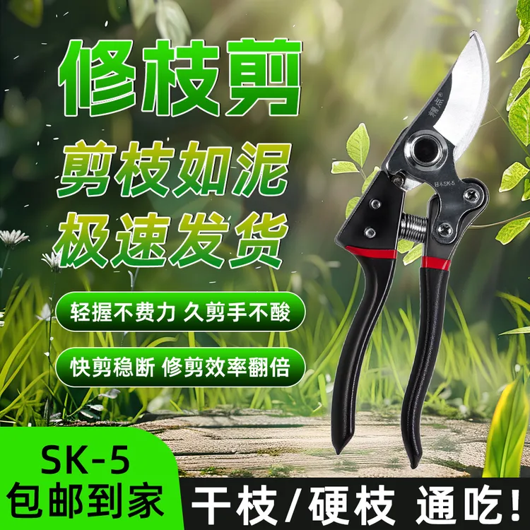 SK-5精钢果枝剪省力园艺修枝剪专用剪子修剪树枝花卉果树必备工具