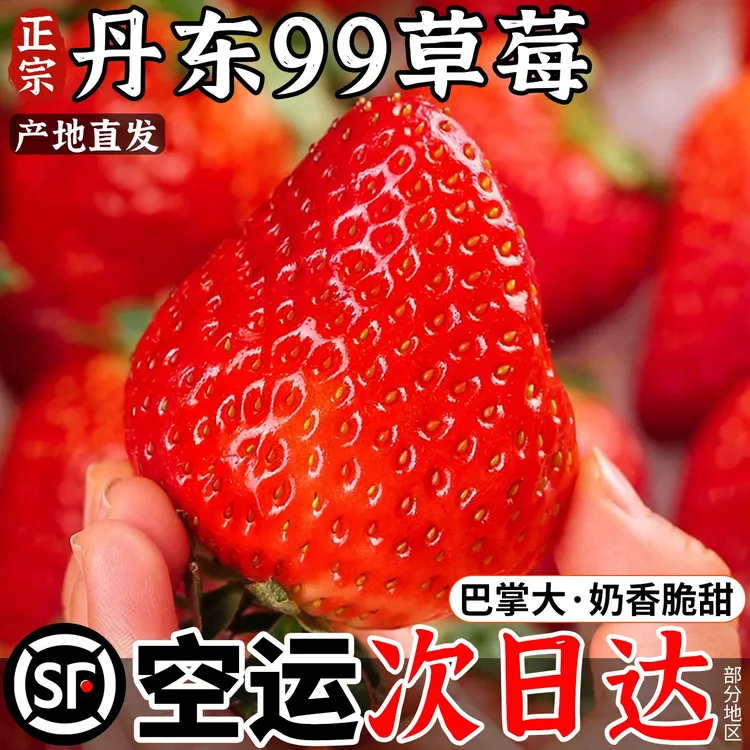 精品丹东九九牛奶草莓新鲜水果现摘大果香甜爆汁直播卖货顺丰空运