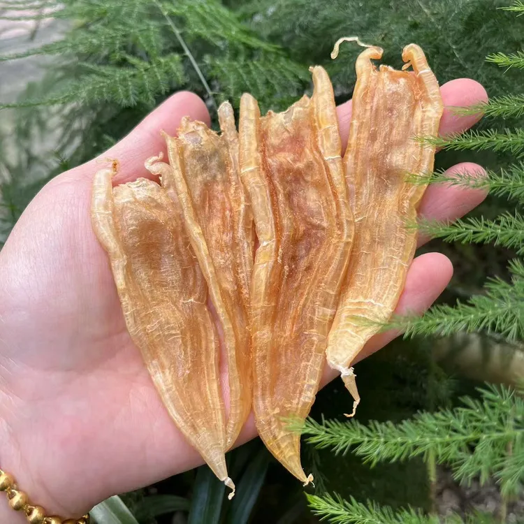 阳江深海渔民自晒双背胶鱼胶花胶炖汤炖奶老少皆宜