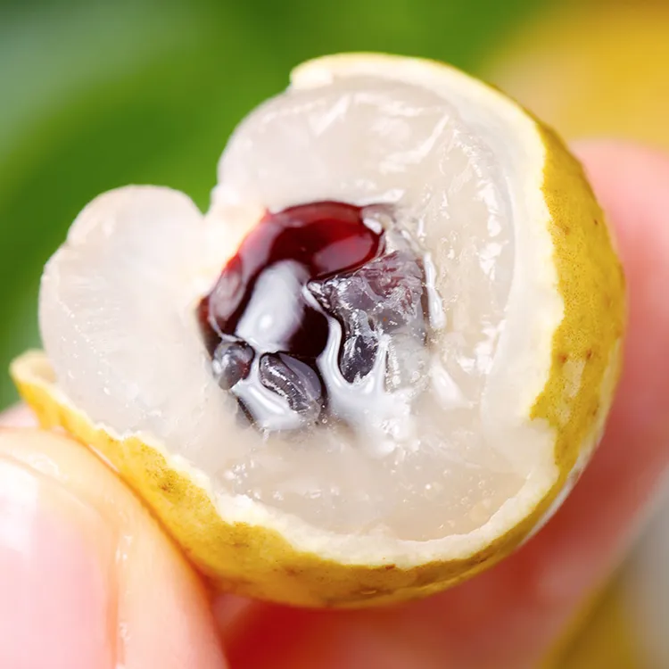 ZB泰国金标龙眼进口龙眼新鲜采摘当季孕妇水果桂圆香甜多汁大果包邮