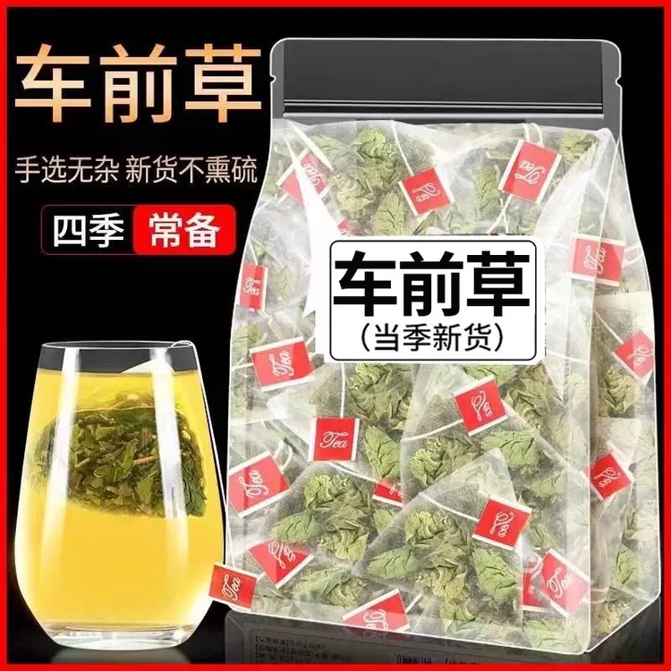 【结散】车前草中药材猫爪草泡茶新鲜干货整株车轮草非野生泡水喝的