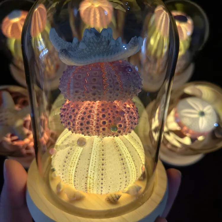玻璃罩款精致海胆灯生日礼物教师节礼物网红爆款超可爱