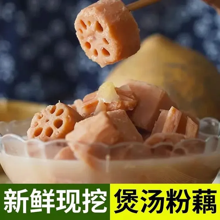 湖北天门新鲜莲藕煲汤