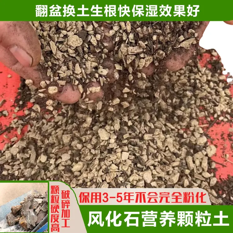 对节白蜡盆景专用营养土小包无土风化石土壤培养保湿混合配土养花