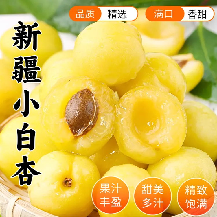 甄选正宗新疆小白杏新鲜水果柔软香甜爆汁顺丰包邮
