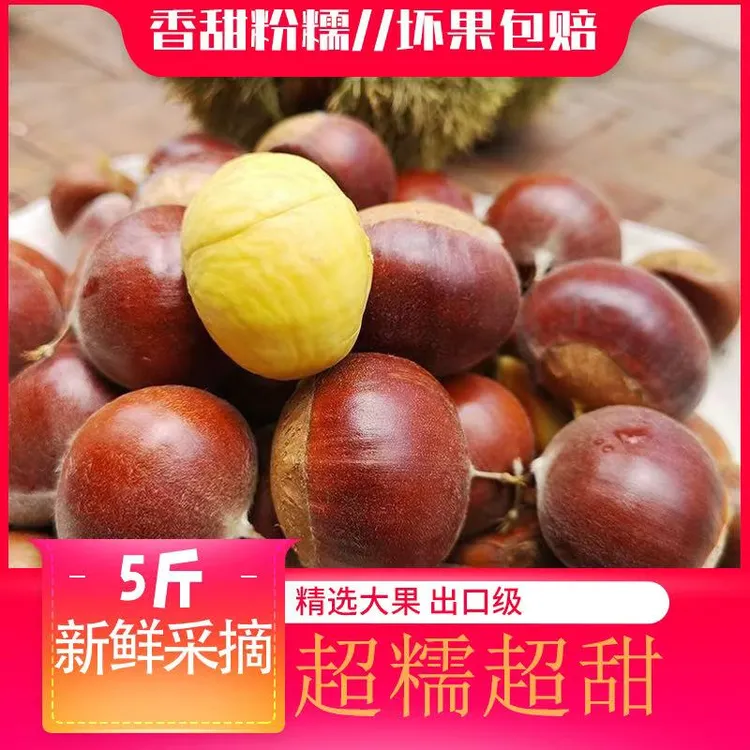 鲜榜咖2025头茬板栗5斤现摘现发软糯香甜不难剥皮坏果包赔（HHP)