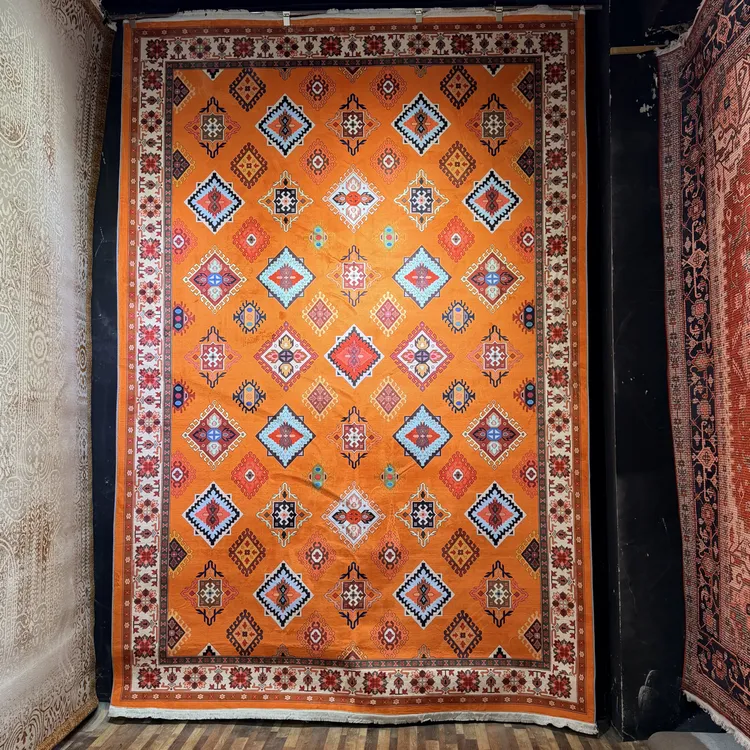 新疆民族风橘色仿鹅绒客厅餐厅走廊地毯地垫机造厚实带绒新疆包邮