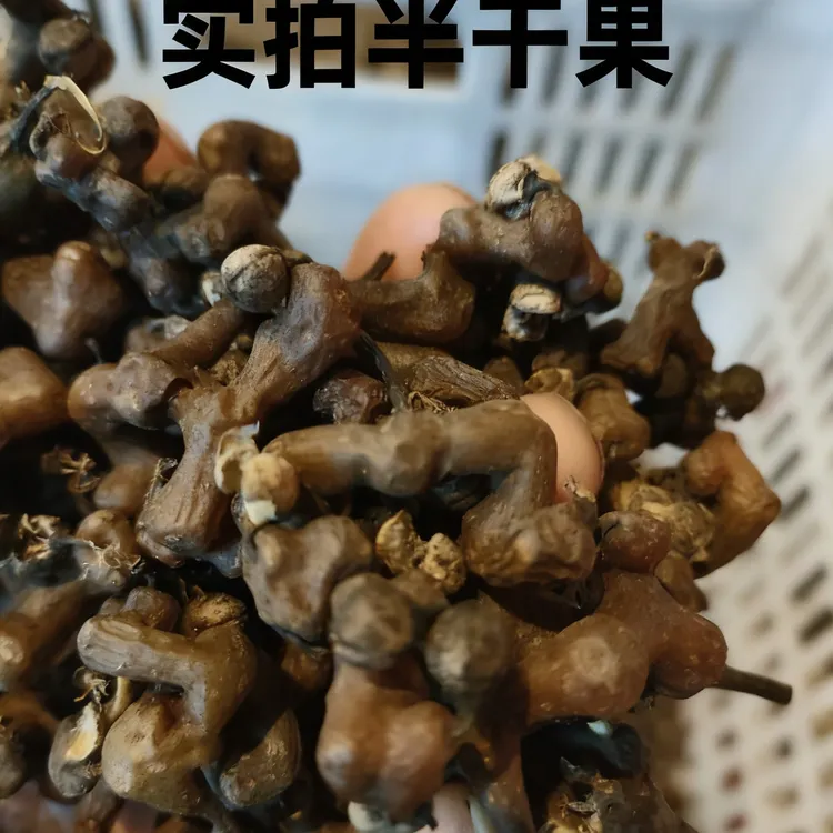 【半干生吃】旬阳拐枣半干果皮蔫生吃香甜泡酒万寿果熬糖清甜鸡爪梨