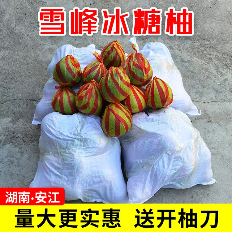 正宗安江雪峰冰糖柚湖南怀化老树水果小柚子小苦柚井冈蜜柚金兰柚