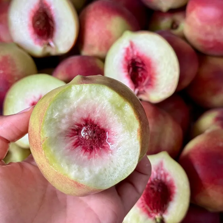 【脆甜多汁】正宗冬雪水蜜桃新鲜应季水果桃子5斤