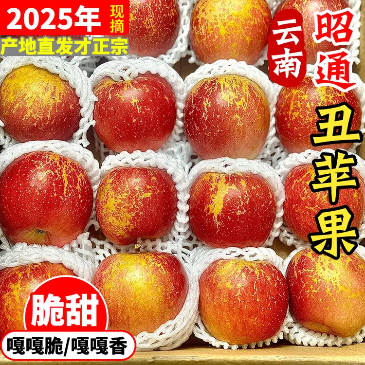 【昭通生态丑苹果】正宗云南昭通丑苹果冰糖心苹果新鲜水果2/5斤