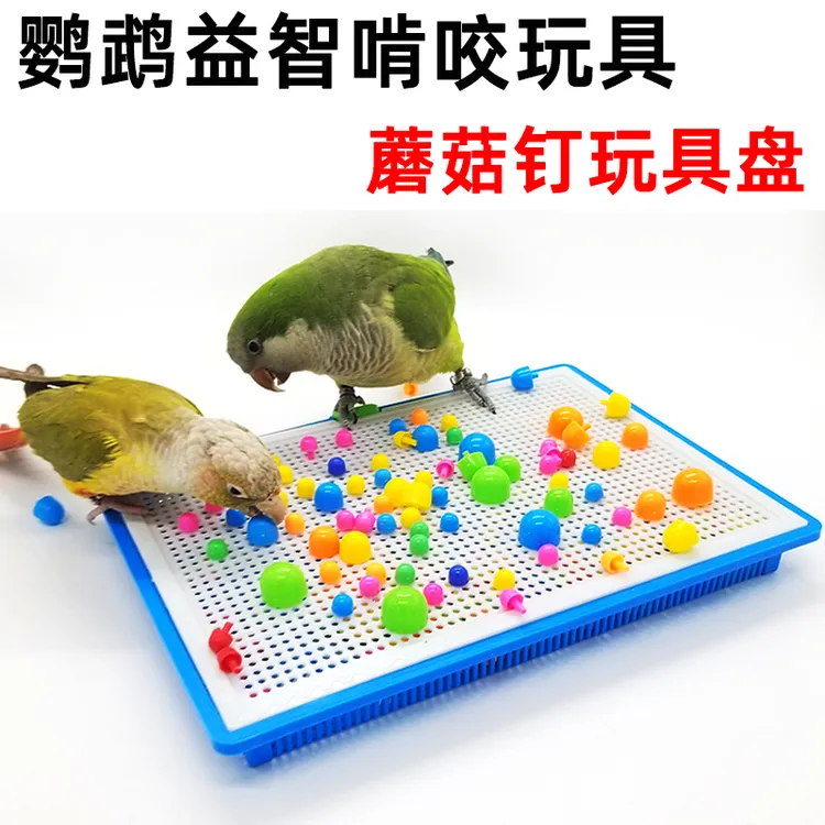鹦鹉玩具蘑菇钉玩具盘啃咬解闷磨牙觅食益智仿真训练道具玄凤专用