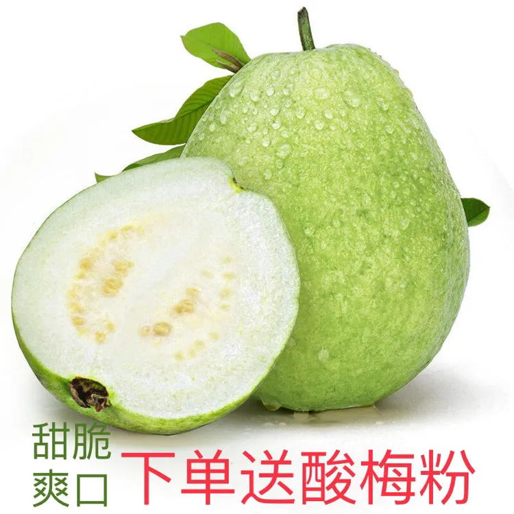 产地直发白心芭乐番石榴低糖低卡富含高VC适合孕妇的应季水果