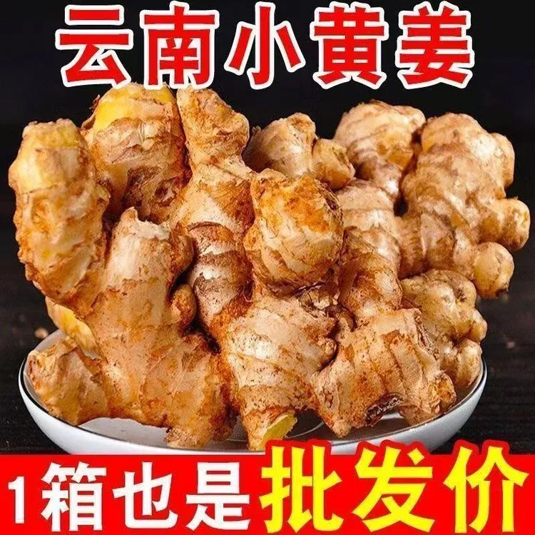 【H】-2025年云南现挖现发小黄姜时令应季蔬菜姜香浓郁