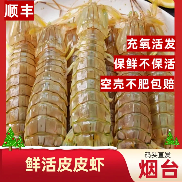 （充氧活发）烟台鲜活皮皮虾公母自选【保鲜不保活】渤海湾 顺丰