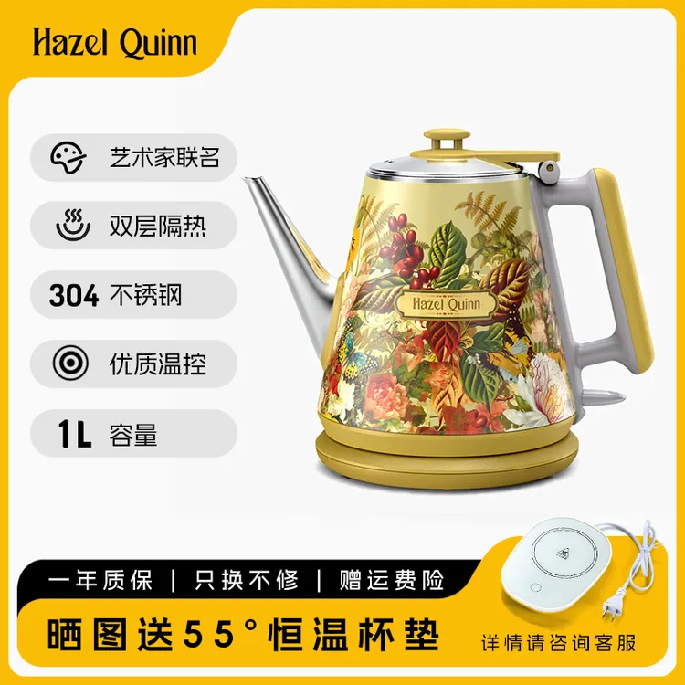 联名款欧洲同款不锈钢手工复古迷你防烫长壶嘴家用法式电热水壶