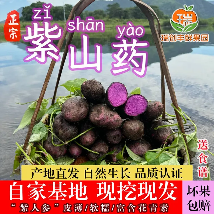 赣南紫山药紫脚板薯新鲜农家蔬菜紫淮山现挖正宗铁棍山药毛大薯