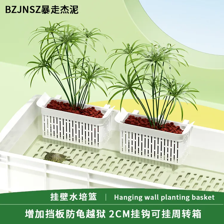 鱼缸水培定植篮壁挂式水草杯水上挺水植物种植篮鱼缸造景装饰配件