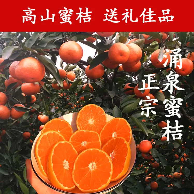 临海涌泉蜜桔早熟蜜橘5斤当季新鲜水果非黄岩桔子10斤无核皮薄